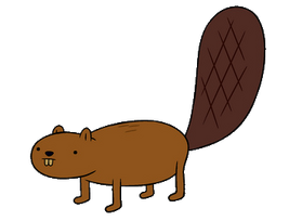 Beaver