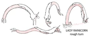 Lady Rainicorn Rough Outline