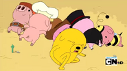 S2e13 Jake and piglets