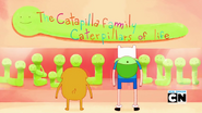 S6 E7 Caterpillar family