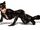 Catwoman-and-batman-arkham-city-i2.jpg