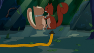 S6e5 Goralina and squirrel