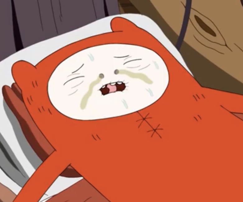 Adventure Time Wiki: Finn