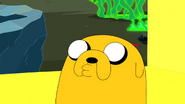 Jakethedog7