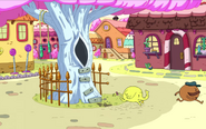 S8e4 Tree Trunks and Starchy running