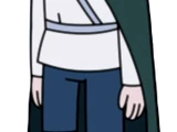 Jay Mertens