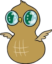 Peanut Owl