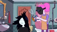 Marceline's bathroom, as seen in "Obsidian"