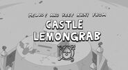 Hello and keep away from castle lemongrab