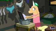 S7e16 viola washing