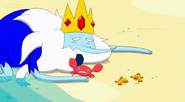 S5 e22 Ice King washes up on shore
