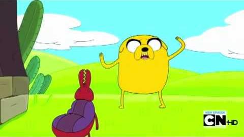 Adventure Time Dancing Bug