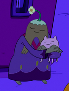 Finn's hat  Adventure Time+BreezeWiki