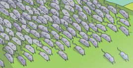 Guntors