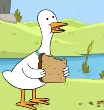 A Duck Has An Adventure, A Duck Has An Adventure Wikia