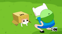 Finn and boxprince S5E37