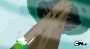 S5 e4 Finn yelling up at the tree