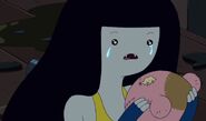 Marceline reunited with Hambo in "Sky Witch"