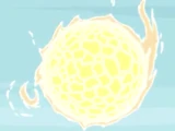 Zon