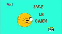 Jake in the French intro