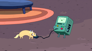 BMO and Viola