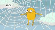 Jake stuck in the web