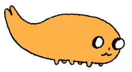 Grotto Jake