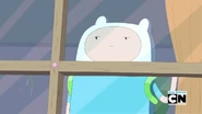 Finn Window.jpg (61 KB)