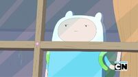 Finn Window