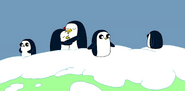 Penguins in the opening sequence