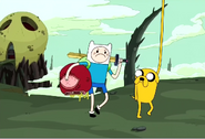 Finn with head.png (463 KB)