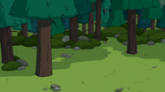 S7e4 close forest