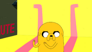 Jakethedog6