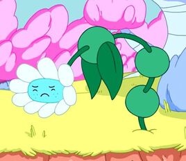 Weeping Willy