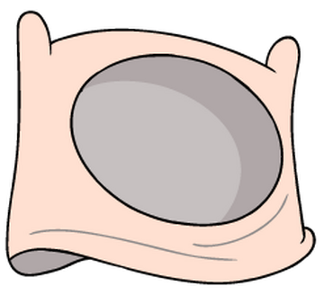 Finn's hat | Adventure Time Wiki | Fandom