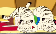 Adventure Time White Tigers