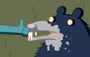 BMO wins the Thumb war.