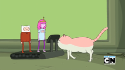 MaxMcWoodman 60s cartoons, Princess bubblegum, Blue cats