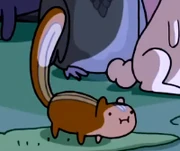 Chipmunk