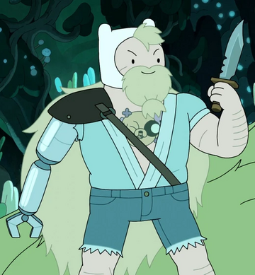 Adventure Time Creator confirma que a segunda temporada de Fionna