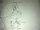 03262012922.jpg