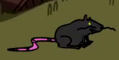 Another rat in the opening sequence