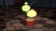 S1e22 Dimpleplant6.png (163 KB)