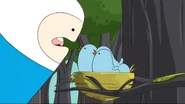 S2e10 Finn feeding birds.png (614 KB)