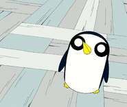 Gunter staring off into space