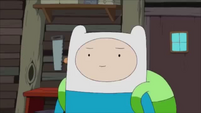 S5e47 Finn 1