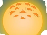 Zon