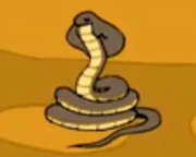 The Silent King Cobra
