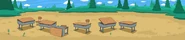 The Baby Pigs' exam area