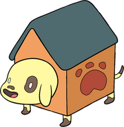 Dog House